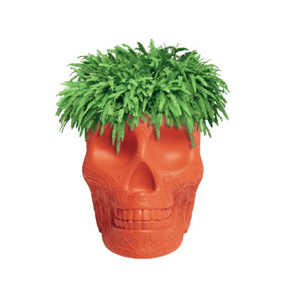 Mexico Planter Terracotta