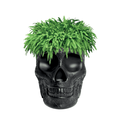 Mexico Planter Black