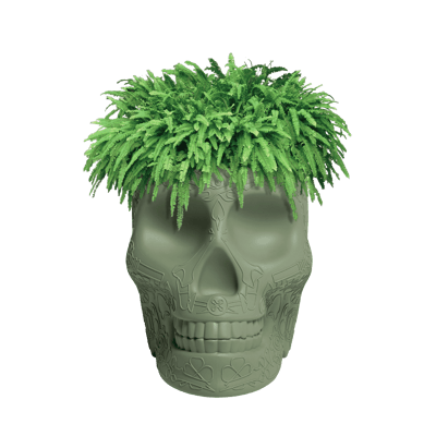 Mexico Planter Balsam Green