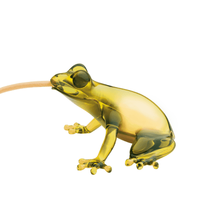 Hungry Frog Lamp Topaz