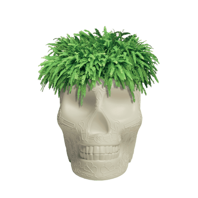 Mexico Planter Ivory