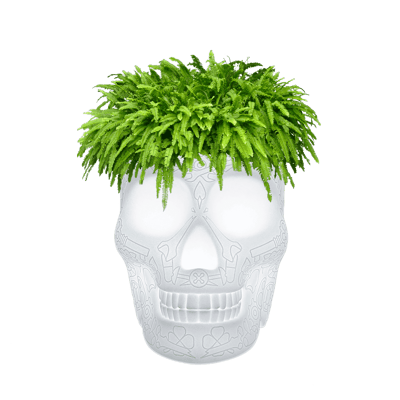 Mexico Planter / Champagne Cooler Lamp Led